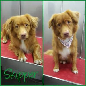 14716176_1199581866769099_2775111152561206790_n