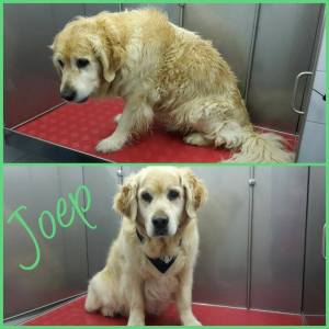 15036192_1230438627016756_153219151405192751_n