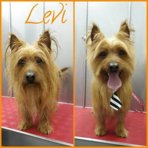 15740731_1283742365019715_8966914846096820753_n