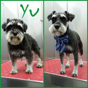 15741071_1283742218353063_3811101062238653446_n