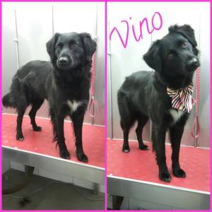 15826099_1283742078353077_9067112850398530768_n