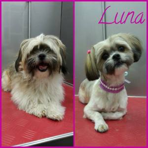 16649399_1333461793381105_4159937507992526337_n