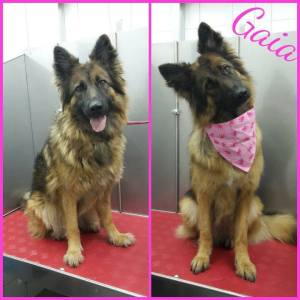 16681568_1333461723381112_8580246555079054544_n