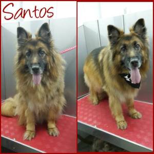 16729362_1333463043380980_2077346494556288307_n