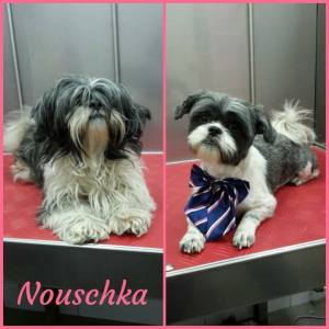 16830946_1333461763381108_3723129526728507053_n