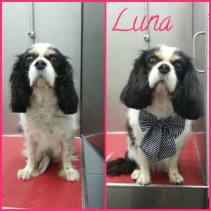 16864907_1333462810047670_6049615888055184379_n