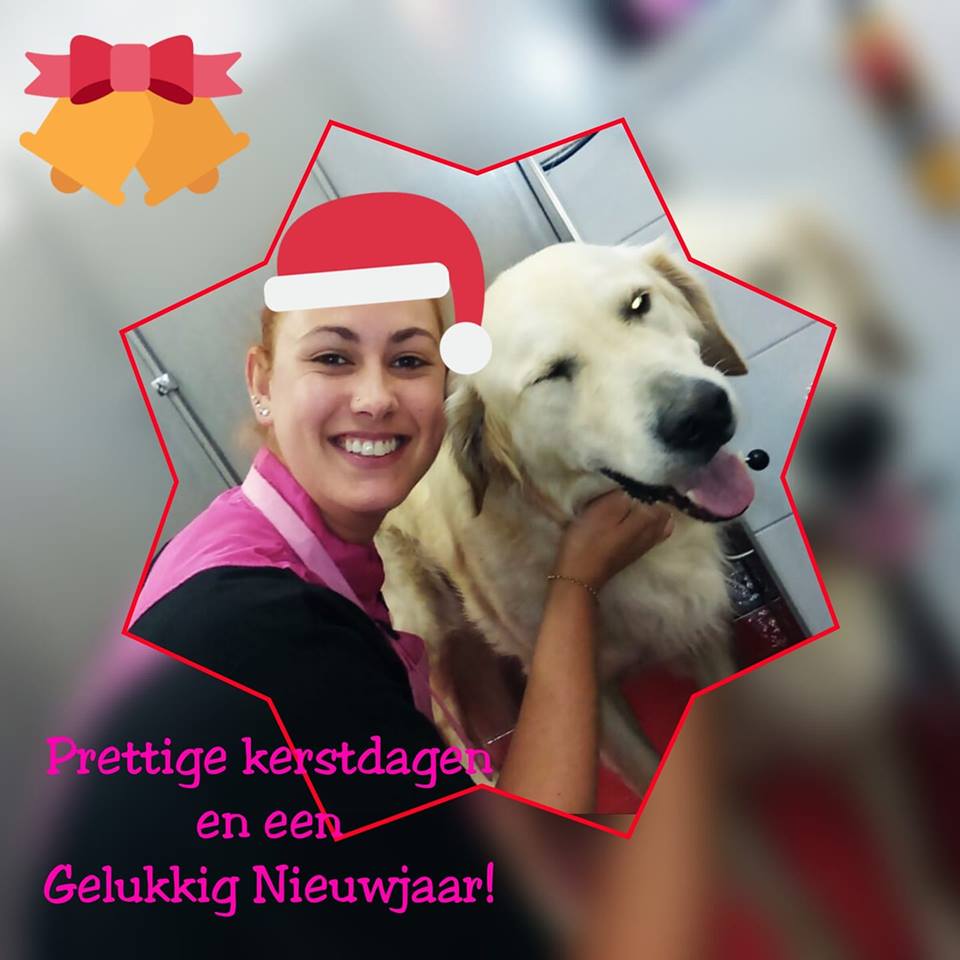 foto kerst